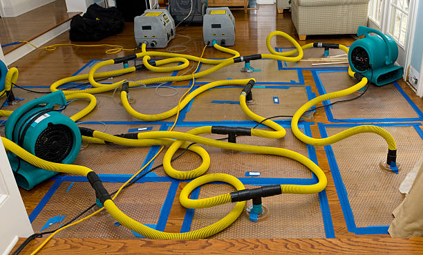 Professional Crawl Space Water Removal technician working in Hiram, OH